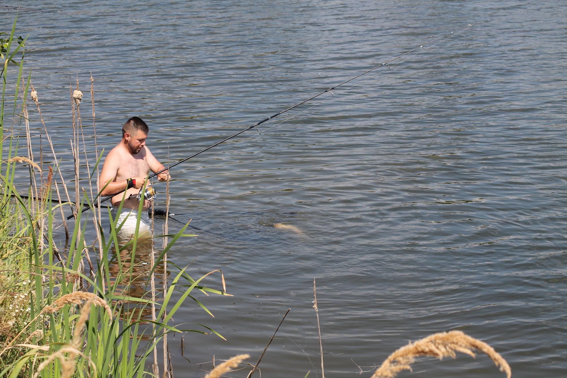Balastiera Fughiu 29 iul. - 1 aug. - fughiu-114.JPG